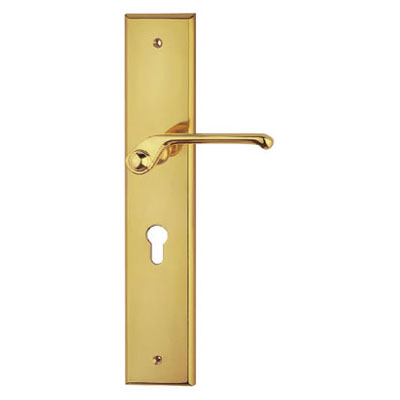 Brass Handle with Plate